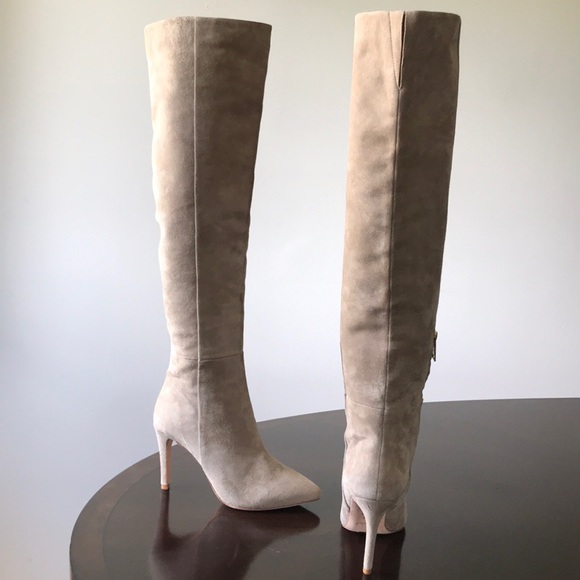 Joie Brown Suede Pointed Toe Knee hi hi heel boots - Picture 5 of 8